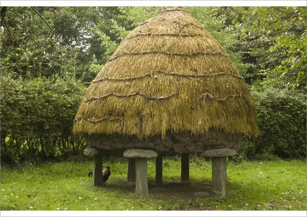 Thatched roof henhouse, Bunratty Folk Park, County Clare, Ireland, Architecture, Facade
