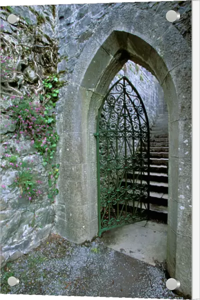 Ireland, Co Mayo, Ashford Castel, Tower gate