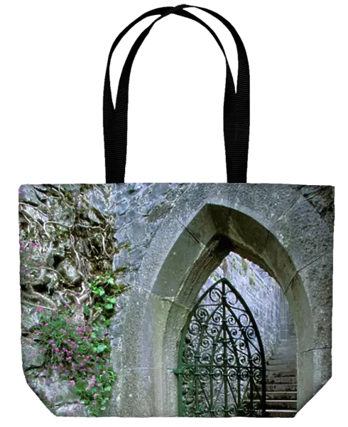 Ireland, Co Mayo, Ashford Castel, Tower gate