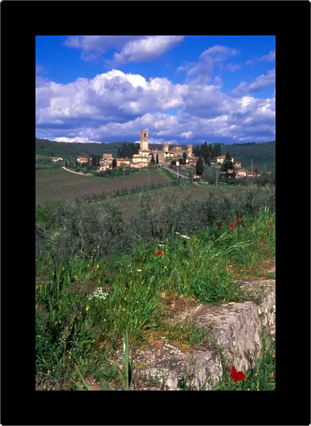 The vineyards surrounding the Tuscan village of Badia a Passignano, Italy