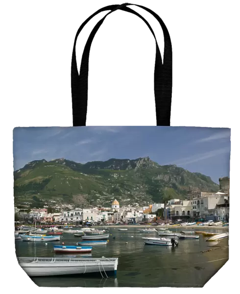 ITALY-Campania-(Bay of Naples)-ISCHIA-FORIO: Town View from Fishing Port  /  Daytime