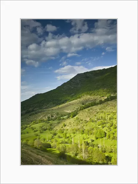 MACEDONIA, Pelister National Park, Maloviste Village. Old Vlach mountain village-Spring