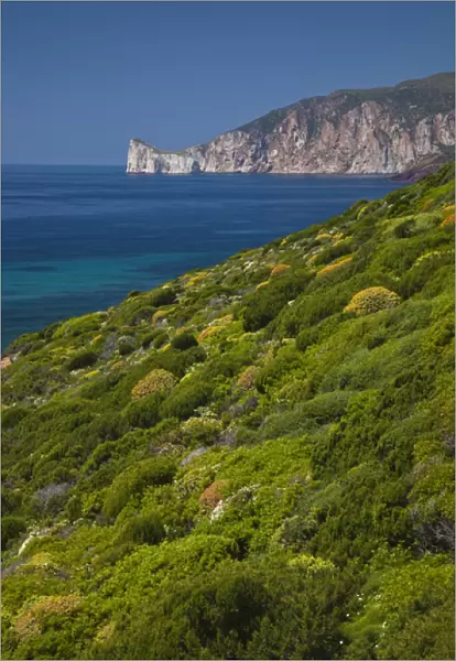 ITALY, Sardinia, Nebida. Coastline by Scoglio Pan di Zucchero islet