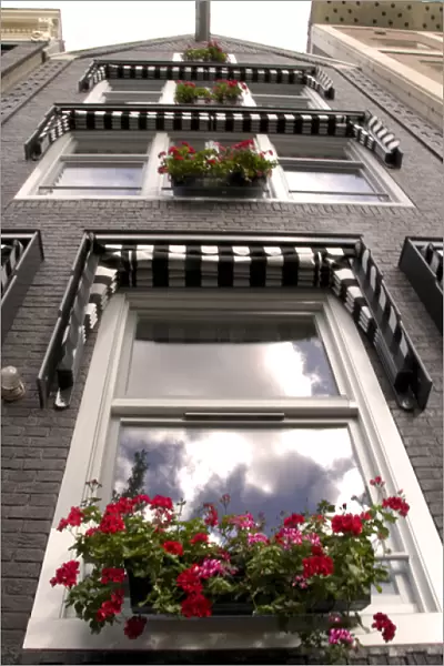 Clouds reflected in windows looking up a building with window boxes of red flowers