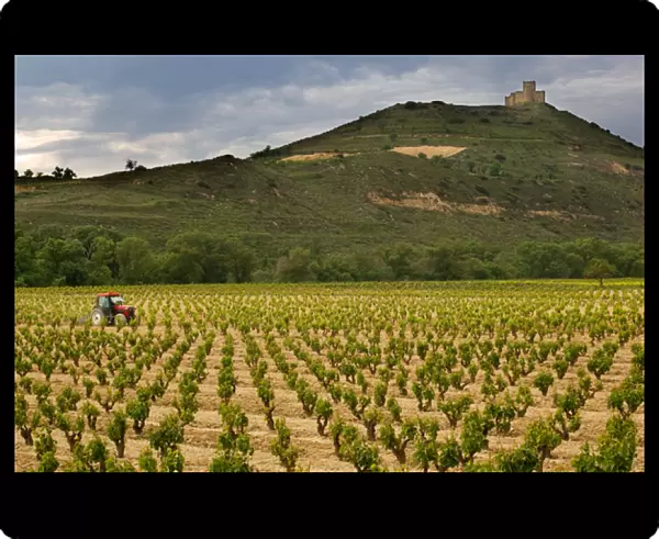 Castle towers over tractor working vineyards along the San Vicente to Banos de Ebro