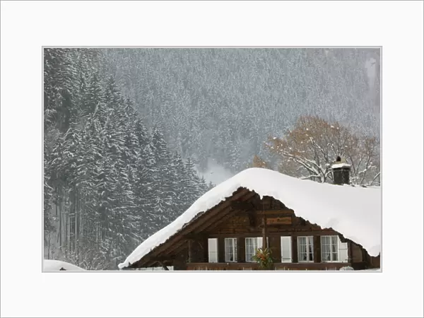 SWITZERLAND-Bern-GRINDELWALD: Ski Chalet  /  Winter