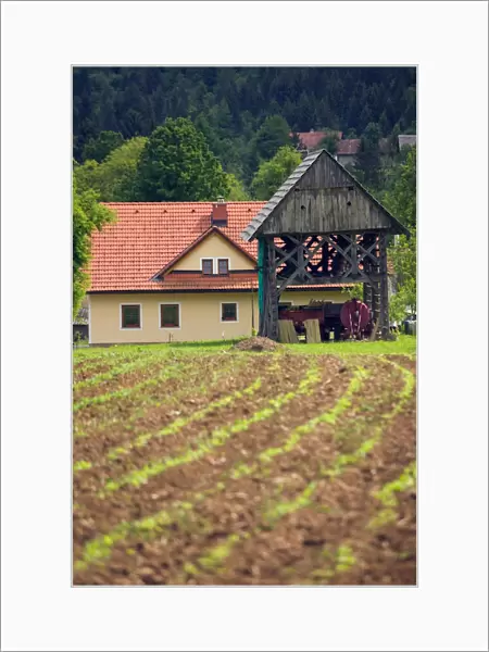 SLOVENIA-Dolenjska-Gabrovcec: Slovenian Hayloft