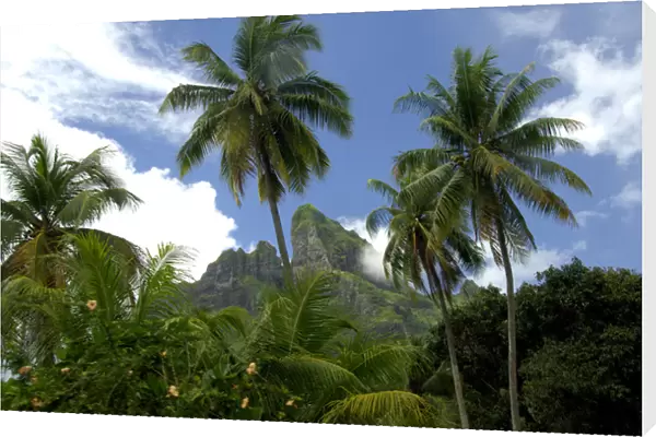 South Pacific, French Polynesia, Society Islands, Bora Bora