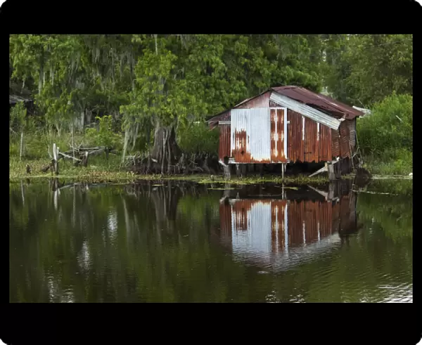 USA, Louisiana, New Orleans, Old fishing shack in cypress forest lining bayou along