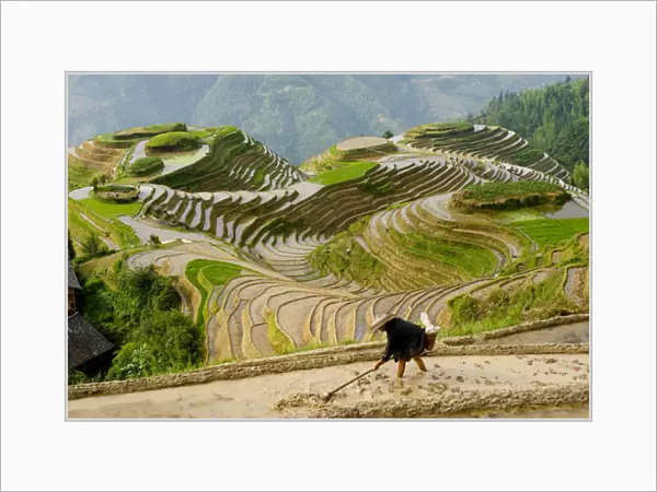 Chinese farmer preparing field for planting rice, Seven Stars and Moon viewpoint