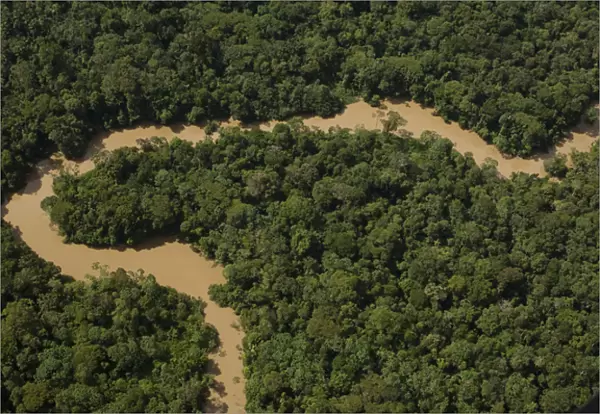 Tiguino River in Yasuni National Park. Amazon Rain Forest. ECUADOR. South America