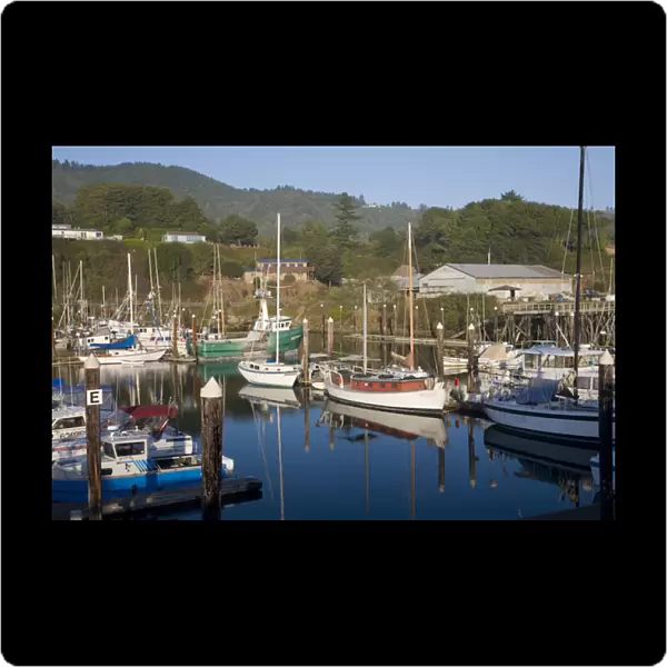 OR, Brookings-Harbor, Port of Brookings-Harbor, Fishing boats and sailboats