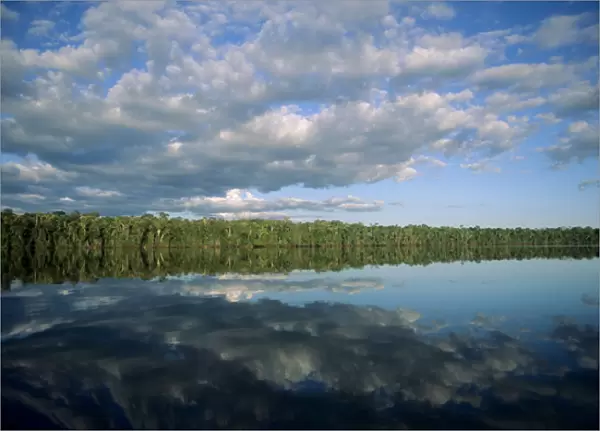 Amazon; forested river bank reflected in the water with clouds in the sky