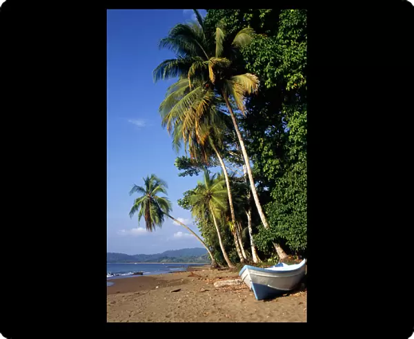 Marenco, Osa Peninsula, Costa Rica. Unspoilt palm fringed beach with freshly painted blue