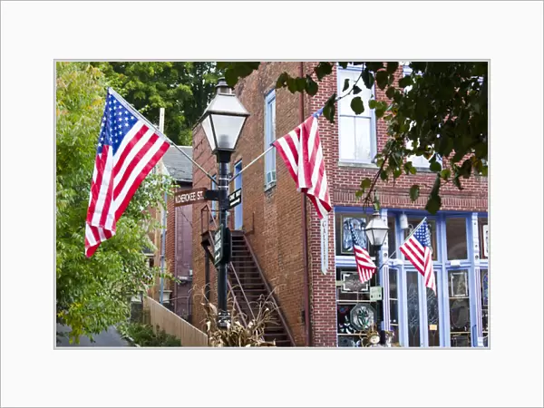 USA, Tennessee, Jonesborough. Oldest town in Tennessee, Main Street, US flags