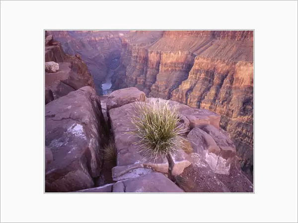 USA, Arizona, Colorado River from Tuweep Overlook, Grand Canyon National Park