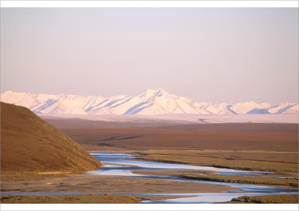 North America, USA, Alaska. Brooks range rises behind the Sagavanirktok River