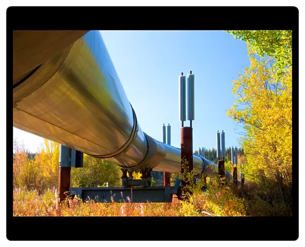 N. A. USA, Alaska. The Trans-Alaska Pipeline which transports oil from Prudhoe Bay