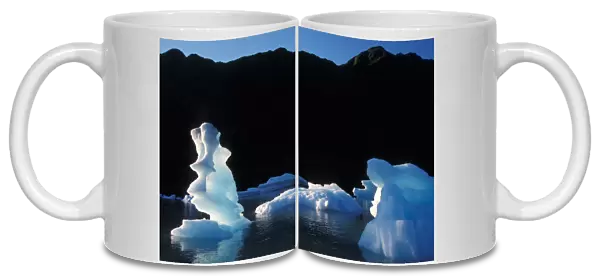 glaciers in Bear Glacier Lake, Kenai Fjords National Park, Alaska
