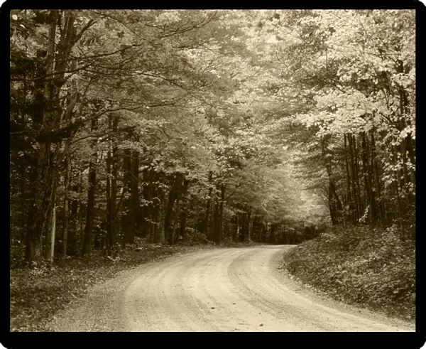 USA, Vermont, Green Mountain National Forest, Road through autumn trees