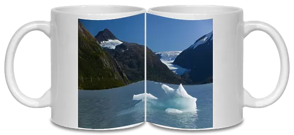USA-ALASKA-PORTAGE GLACIER: Ice Floes by Portage Glacier at the end of Turnagain