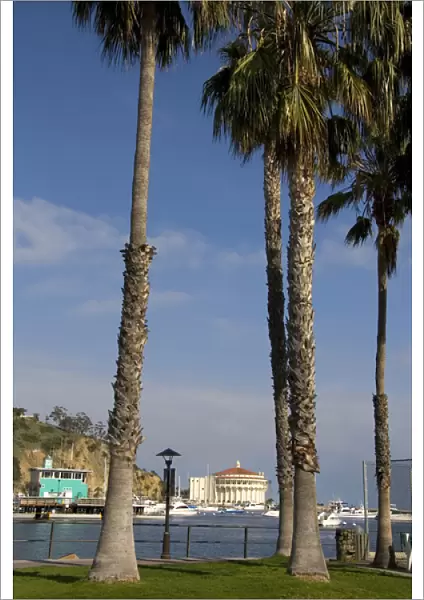 Palm trees frame Avalon Theater and Green Pier in the Avalon harbor on Catalina Island