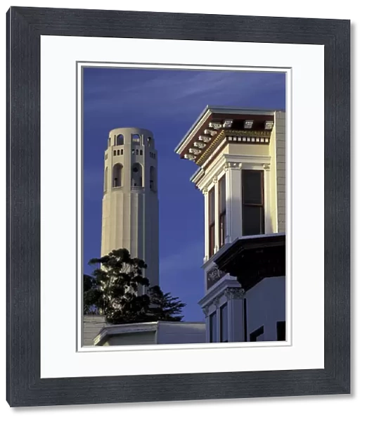 N. A. USA, California, San Francisco Coit tower and building
