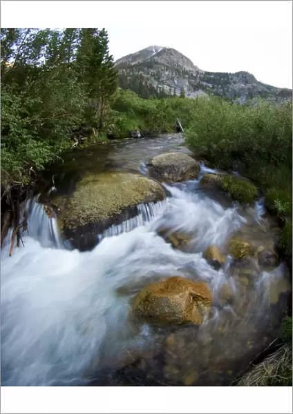 Independence Creek, Onion Valley, Eastern slope Sierra Nevada Mountains, California