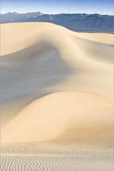USA, CA, Mesquite Sand Dunes at Dawn in Death Valley NP