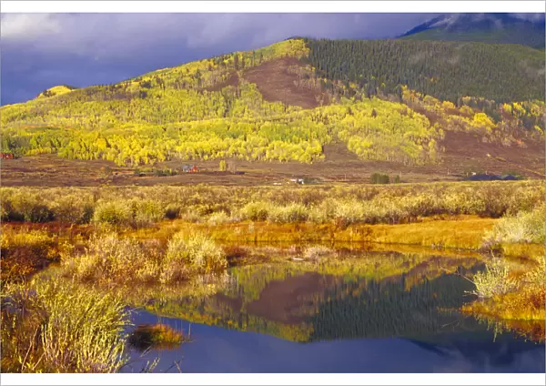 Small beaver pond with hillside of autumn colors near Crested Butte