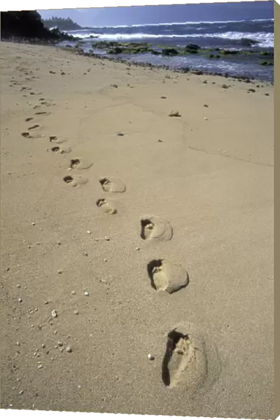 USA, Hawaii, Maui, Ho Okipa Beach Park Footprints in the sand