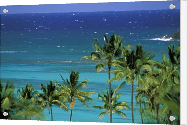 USA, Hawaii. Palms and ocean view