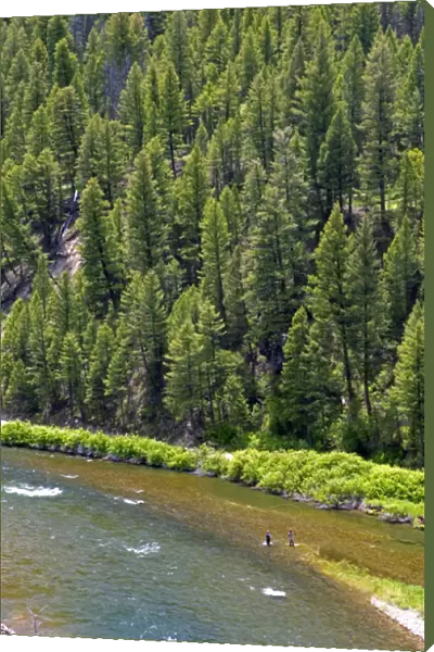 Fly fishing on the Salmon River between the towns of Sunbeam and Stanley, Idaho