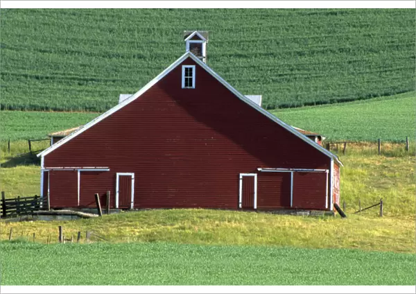 N. A. USA, Idaho, Latah County. Red barn in field