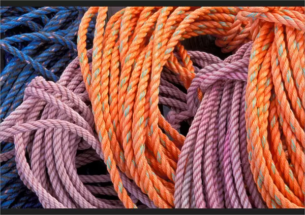 North America; USA; Maine Lobster Ropes