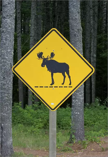 North America, United States, Maine. A sign among the trees in the Moosehead Lake