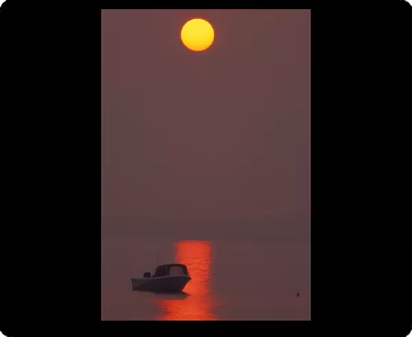 Lower Makonikey, Marthas Vineyard, MA. Boats. The sun rises thru fog