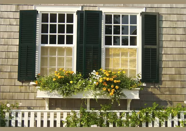 North America, USA, Massachusetts, Marthas Vineyard, Edgartown. Two shuttered windows