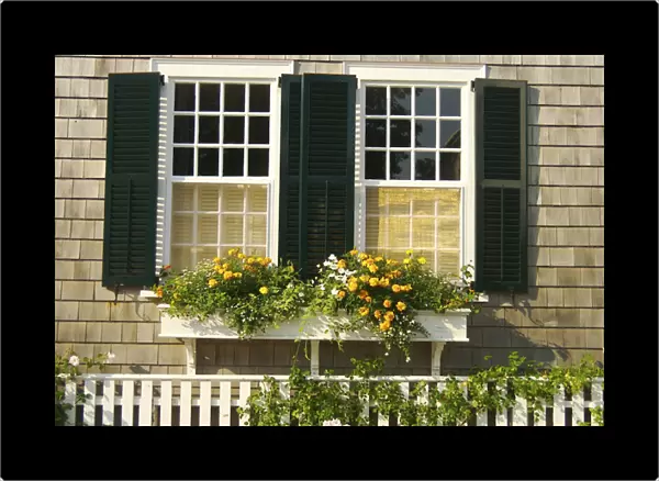 North America, USA, Massachusetts, Marthas Vineyard, Edgartown. Two shuttered windows