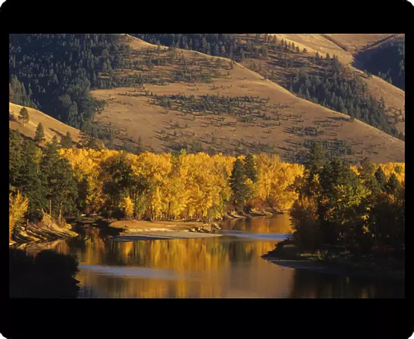 Autumn Color on the Bitterroot River near Missoula, Montana, USA