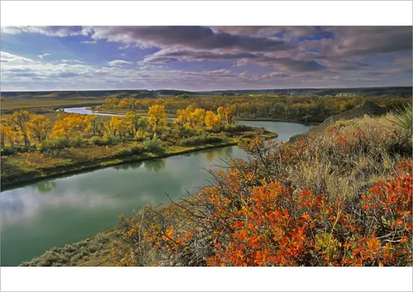 The Marias River in autumn in Liberty County, Montana, USA