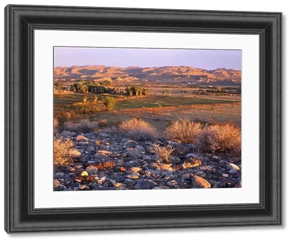 Nevada. USA. Desert vegetation & stones above wetlands, pastures, & palm groves at sunrise