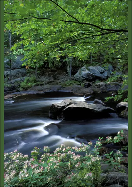 Spring at Packers Falls on the Lamprey River. A National Wild and Scenic River