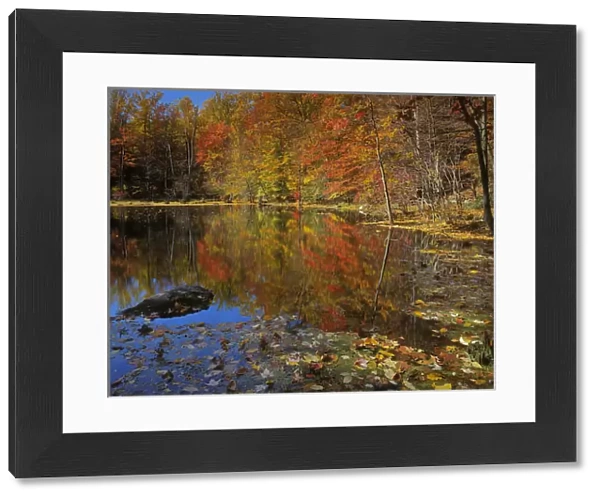 USA, New York, Adirondack Mountains, Autumn Pond, Putnam County