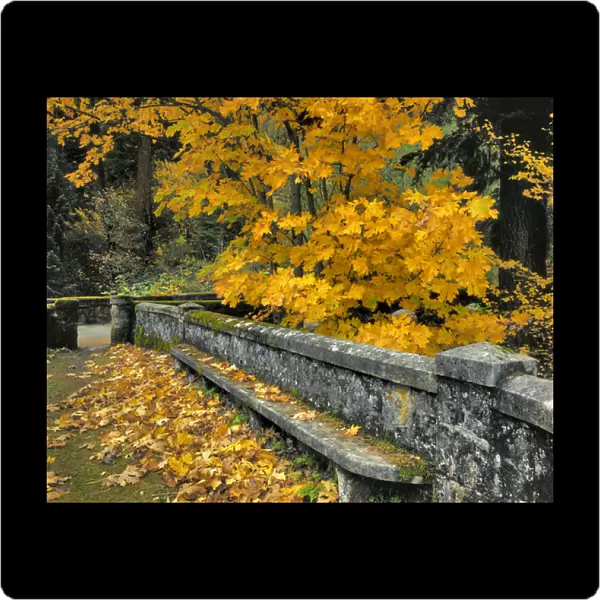 USA, Oregon, Columbia River Gorge National Scenic Area. Stone wall and bench framed