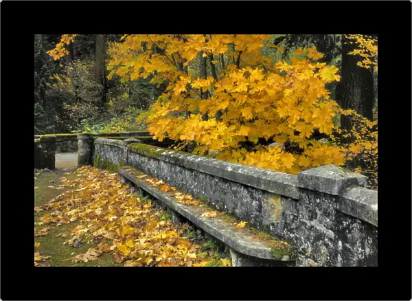 USA, Oregon, Columbia River Gorge National Scenic Area. Stone wall and bench framed