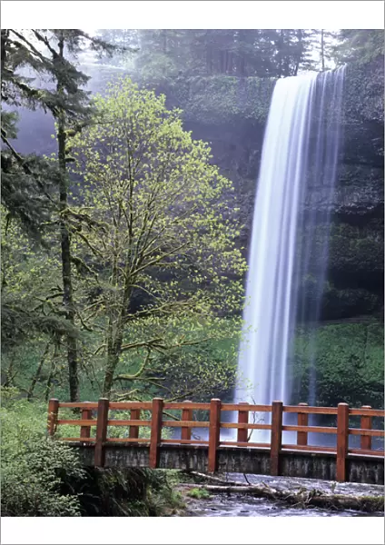 OR, Silver Falls SP, South Falls with footbridge over Silver Creek