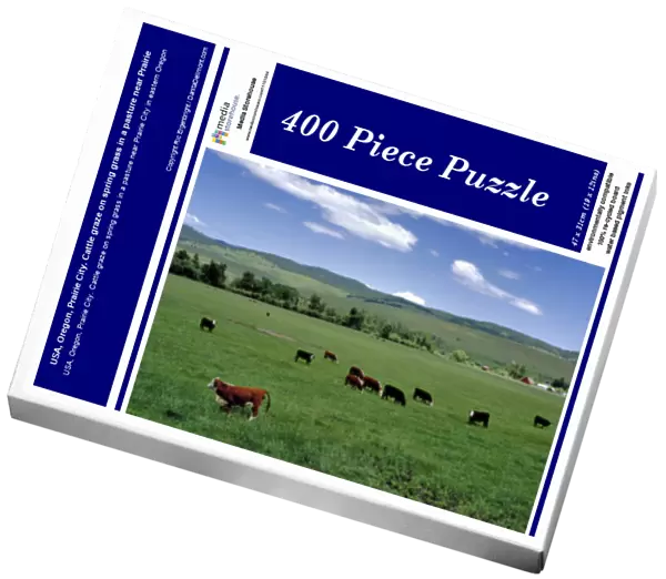 USA, Oregon, Prairie City. Cattle graze on spring grass in a pasture near Prairie
