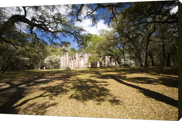 North America, USA, South Carolina. Ruins of the Old Sheldon Church