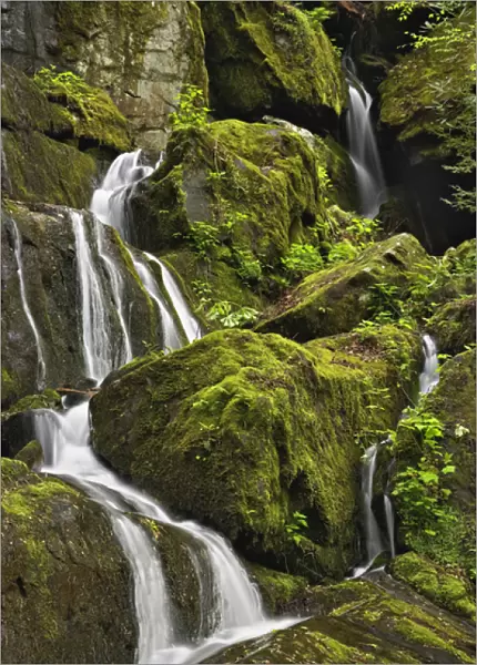Seasonal cascade, Place of a Thousand Drips, Great Smoky Mountains National Park